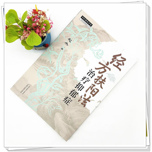 经方扶阳法:治疗抑郁症 赵杰 著 中国中医药出版社 中医师承学堂 伤寒杂病论六经辨证 临床 医案书籍 商品图1