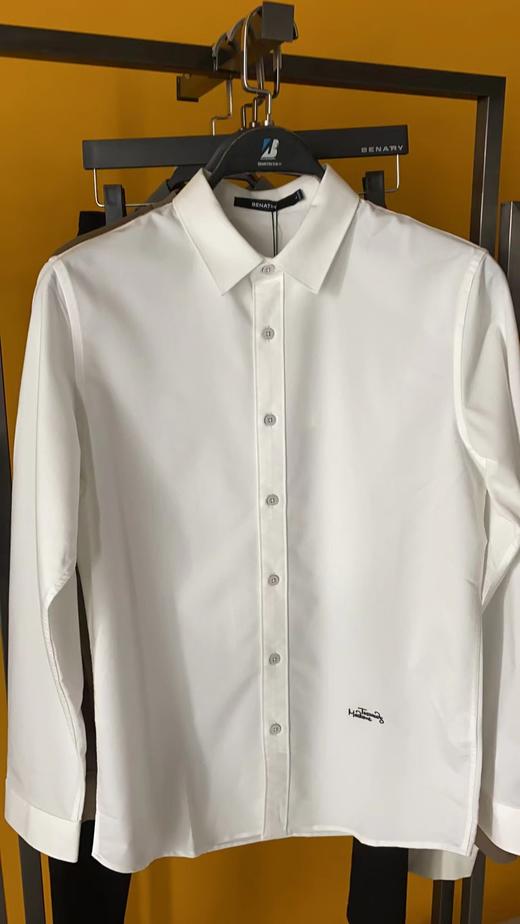 贝纳川男士商务长袖衬衫ECP311001 商品图2