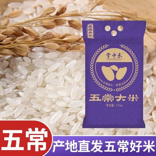 「产地直发！五常大米」5斤一袋东北大米2.5kg长粒香米5斤珍珠米10斤长粒米10斤粮油米面 商品图0