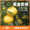 贵州黄金贡柚 5斤起 顺丰包邮 苗家圆圆【零下地区慎拍，冻坏不做售后】 商品缩略图0
