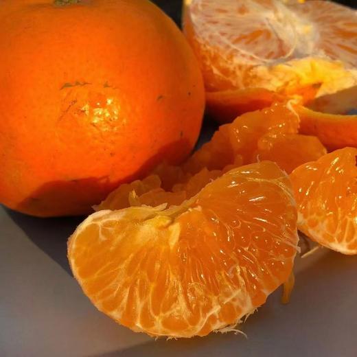 [最农公社]广西武鸣沃柑5斤/9斤绿色香甜 商品图1