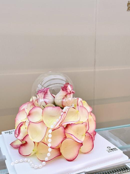 艾莎玫瑰 商品图2