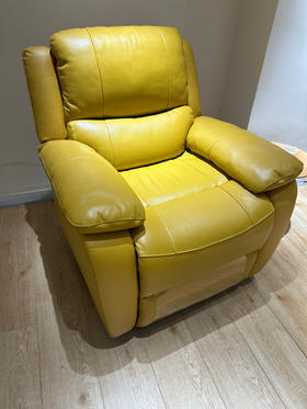 电动单椅/LS170SF3