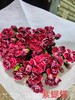 多头康乃馨-紫蝴蝶 商品缩略图0
