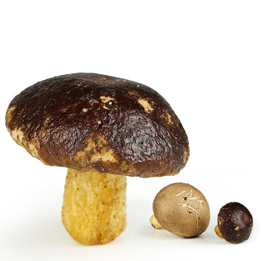 天生好果香菇脆片100克【XPTX】 商品图2