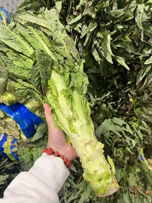 周五取货：【红叶莴苣】一份3斤左右，脆嫩爽口，香气更加浓郁！ 商品图6
