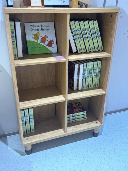 书柜/KN2X-A1 商品图0