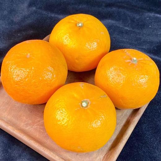 [最农公社]广西武鸣沃柑5斤/9斤绿色香甜 商品图6