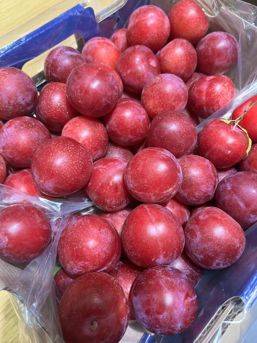 图力奇智利进口樱桃李 4J级别 商品图0