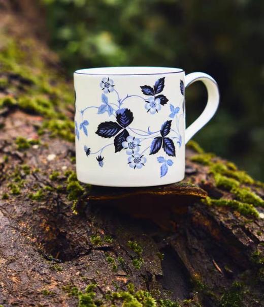 【肖战推荐】WEDGWOOD威基伍德野草莓墨蓝马克杯骨瓷水杯礼盒装 商品图0