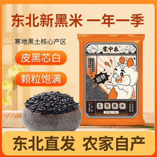 「9.9到手！一年一季」东北黑米500g一袋血糯米1斤3斤5斤紫糯米新米奶茶小料甜品粮油米面 商品图0