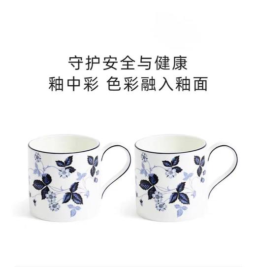 【肖战推荐】WEDGWOOD威基伍德野草莓墨蓝马克杯骨瓷水杯礼盒装 商品图2
