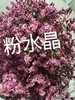 【自信勇气】水晶草，多色可选 商品缩略图2