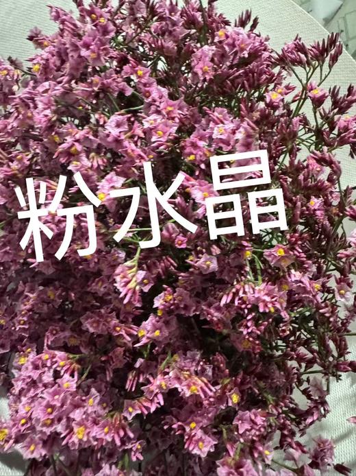 【自信勇气】水晶草，多色可选 商品图2