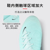 NIKE/耐克 Nike Phantom Luna 2 Elite FG 高端 PHANTOM LUNA 2 高帮FG足球鞋 FJ2572-300 商品缩略图1