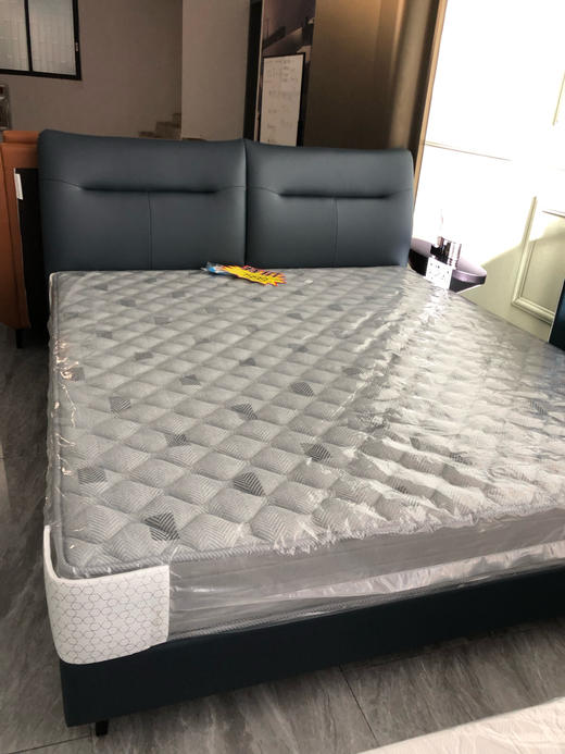 肖邦的夜曲床/BFC1-055 商品图0