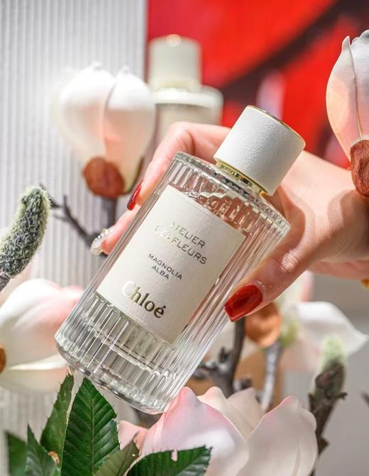 烟雨茉莉 商品图6