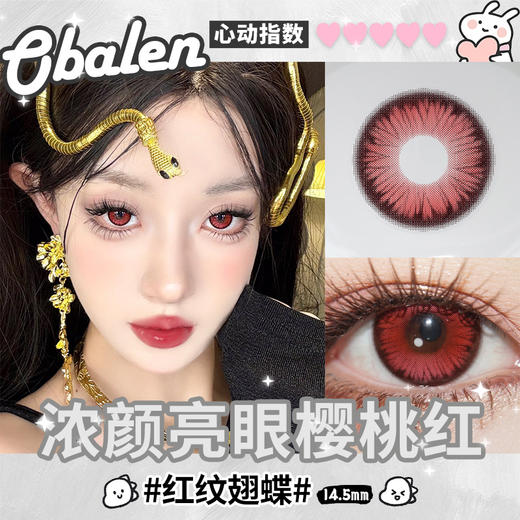 新品【红纹翅蝶】14.5大直径半年抛美瞳1片装 商品图2