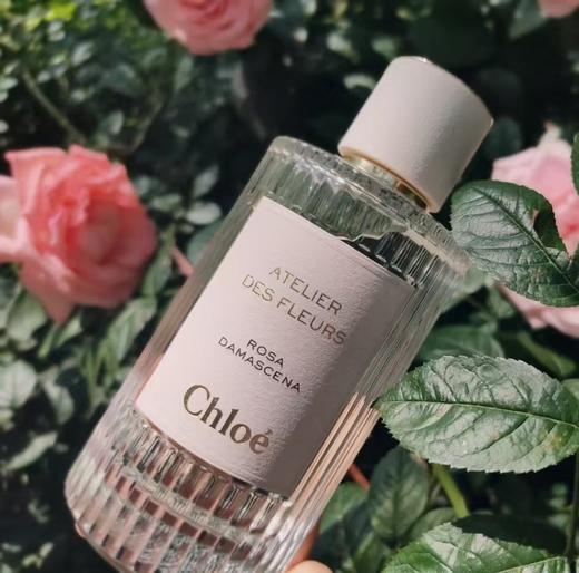 烟雨茉莉 商品图7