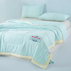 2025春夏新品7A抗菌冰柔小奶皮夏被新品被子被芯夏被 商品缩略图5