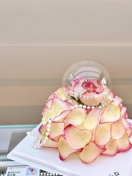 艾莎玫瑰 商品图1