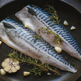 挪威青花鱼 | 富含鱼油，营养丰富，肉质鲜嫩【2.13-2.24停发】