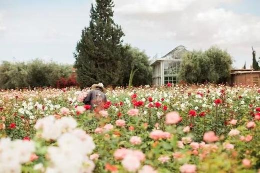 小地球摩洛哥之旅特色酒店甄选 商品图5