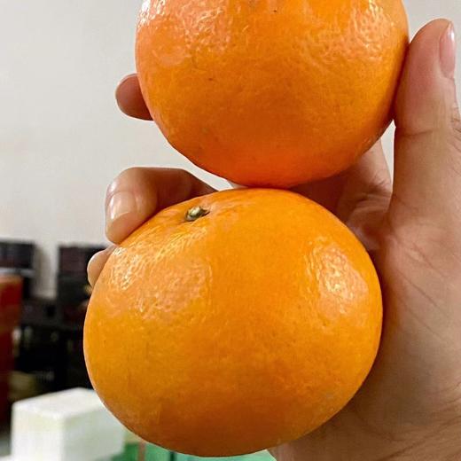 [最农公社]广西武鸣沃柑5斤/9斤绿色香甜 商品图2