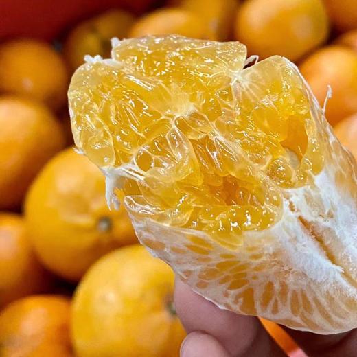 [最农公社]广西武鸣沃柑5斤/9斤绿色香甜 商品图8