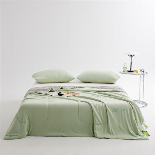 春夏新品-生物基乳酸乳冰冰凉感被夏被夏凉被被子被芯持续凉感内衣级触感 商品图1