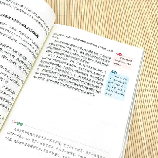 十万个为什么-大语文系列 商品图2