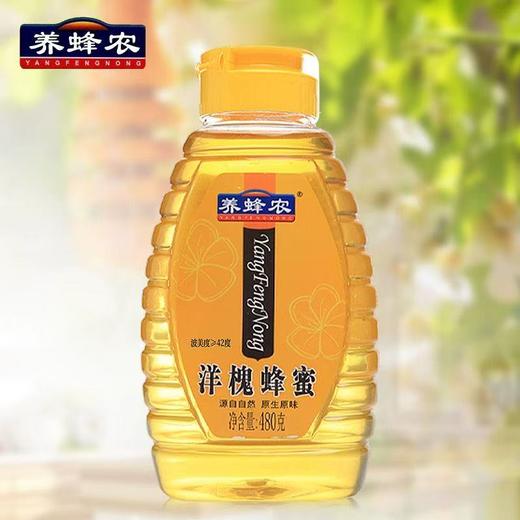 养蜂农洋槐蜂蜜480g 商品图0