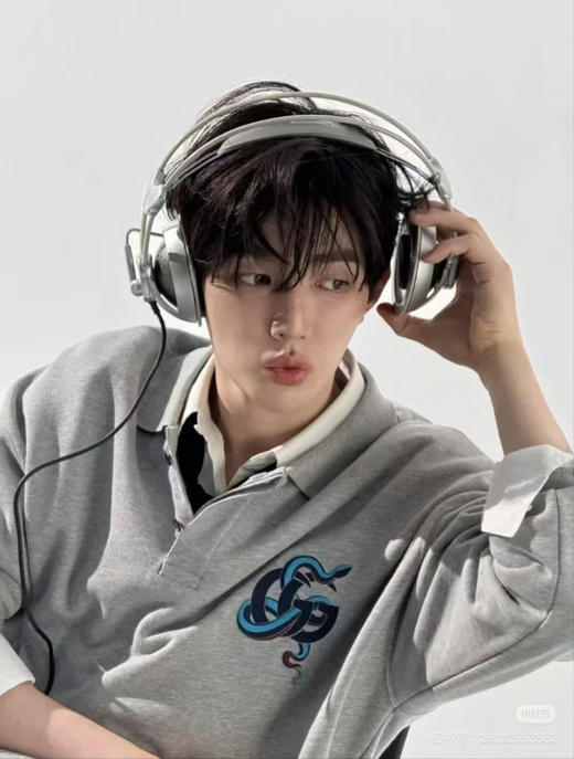 GUCCI 灰色蓝蛇POLO卫衣 商品图6