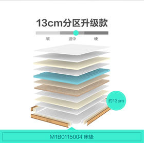 床垫/M1B0115004