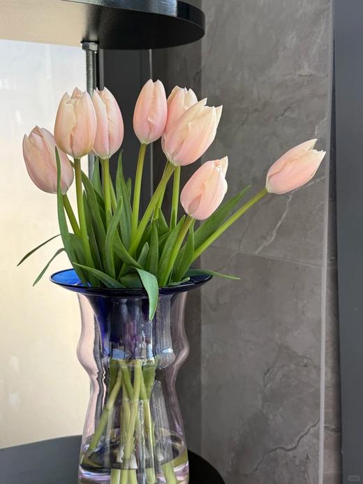 国产水蜜桃郁金香10支 商品图6