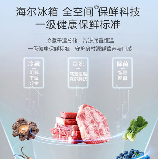 海尔（Haier）冰箱 BCD-521WLHTD2BGWU1 商品图2