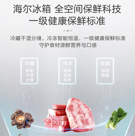 海尔（Haier）冰箱 BCD-540WGHTD14GEU1 商品图3