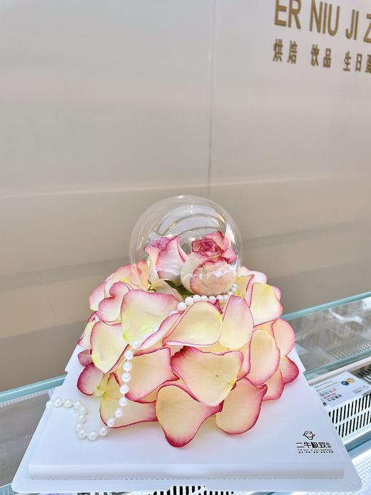 艾莎玫瑰 商品图0