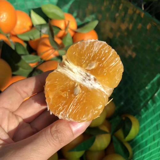 [最农公社]广西武鸣沃柑5斤/9斤绿色香甜 商品图7