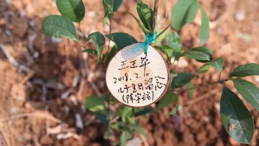 【昌平鑫城缘植树】3H志愿时长，遛娃+志愿+自然疗愈全攻略 商品图1