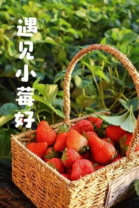 【昌平鑫城缘植树】3H志愿时长，遛娃+志愿+自然疗愈全攻略