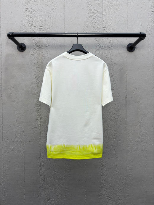 DIOR 蛇年限定贴布刺绣短袖 商品图1