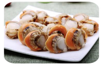 长岛扇贝肉10-20 商品图0