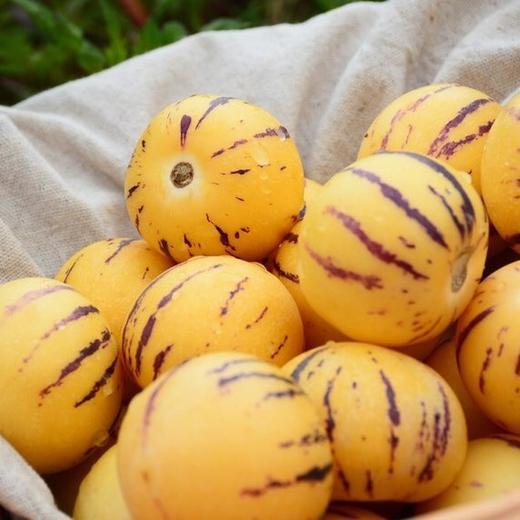 石家庄优选仓库速达，七彩人参果，树上自然熟，口感清甜，奶味香浓，汁水清甜，满口爆汁！单果50-80g/颗，家庭装5斤/8斤装 商品图7