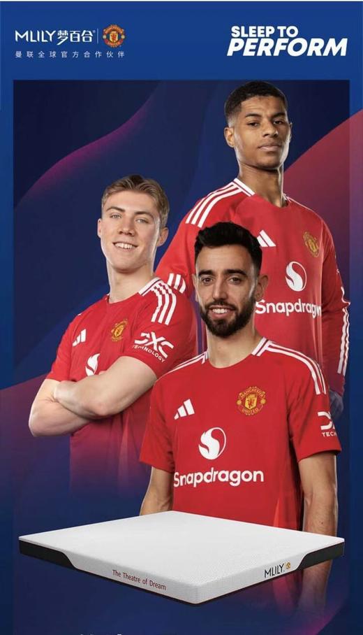 【春上新】10楼 梦百合 传奇7号0压0压厚垫15公分（1.5/1.8米 ）吊牌价5599/5999元 活动价4479/4799元 商品图0