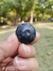云南蓝莓（单果18mm+) 商品缩略图1