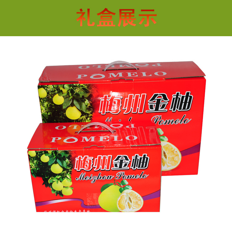 梅州金柚（4.5—5斤两只礼盒装）