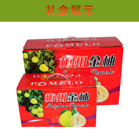 梅州金柚（4.5—5斤两只礼盒装）