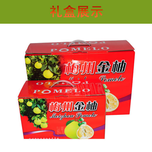 梅州金柚（4.5—5斤两只礼盒装） 商品图0