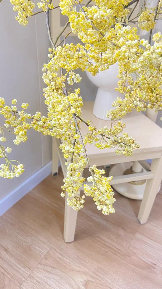 同城甄选鲜切枝条山胡椒1扎 商品图1